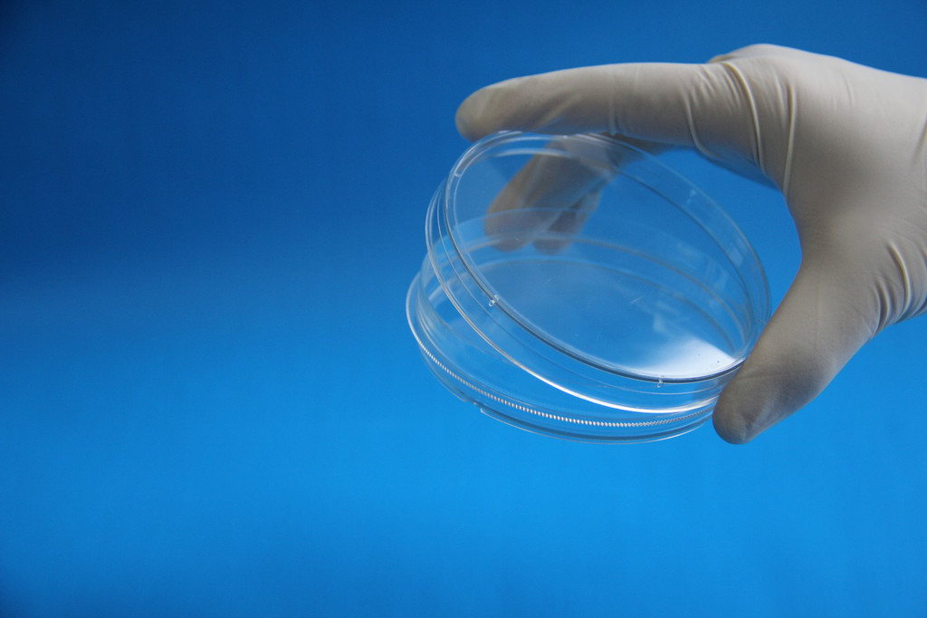 細(xì)胞培養(yǎng)皿 細(xì)胞培養(yǎng)皿